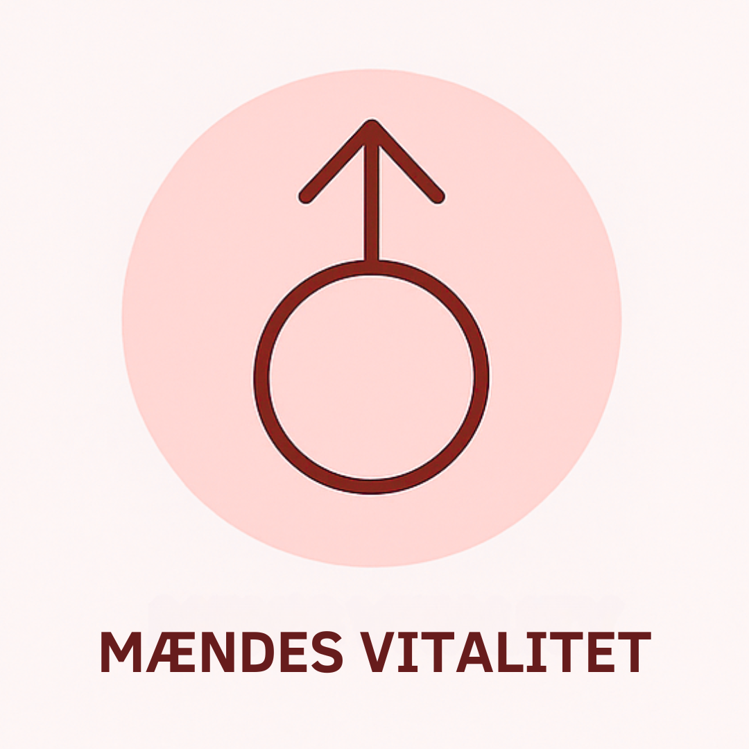 Mændes Vitalitet